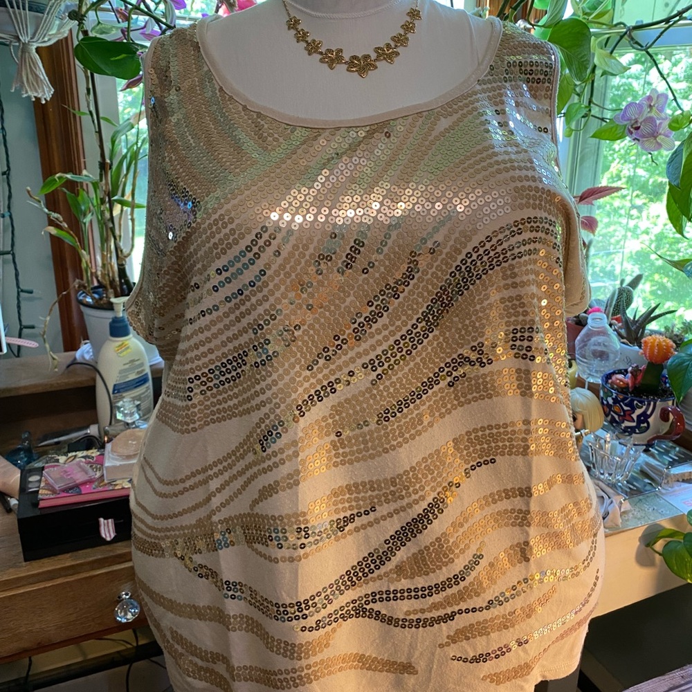 Beautiful gold and brown sequin top.